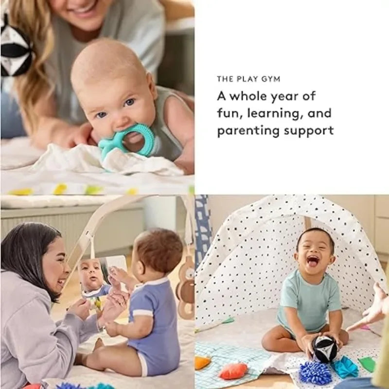 Developmental Activity Gym