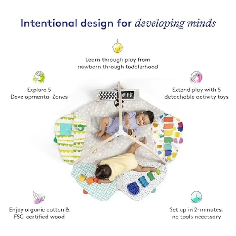 Developmental Activity Gym