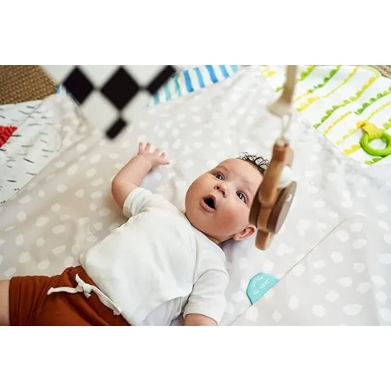 Developmental Activity Gym & Play Mat