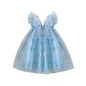 Elegant Baby Girl Lace Dress