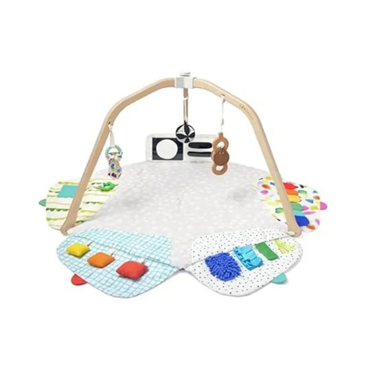 Developmental Activity Gym